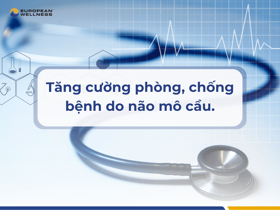 Tăng cường phòng, chống bệnh do não mô cầu.